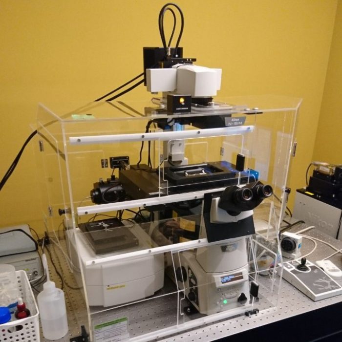 FY2017 Light Microscopy Training Workshopに参加しました。