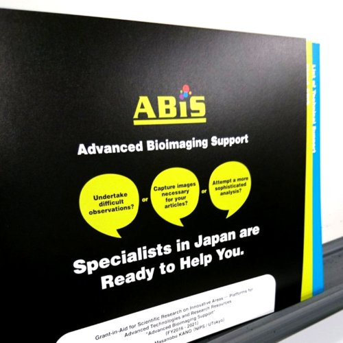 先端バイオイメージング支援プラットフォームに参画しました。