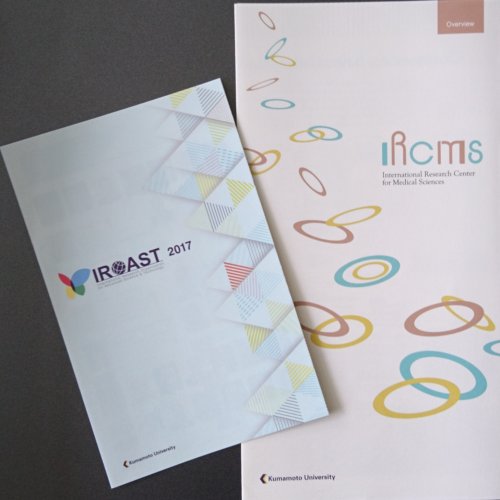 The 2nd IROAST&IRCMS Joint Seminarで発表しました。