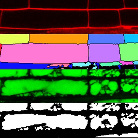 奈良先端科学技術大学院大学との共同研究が論文として掲載されました。