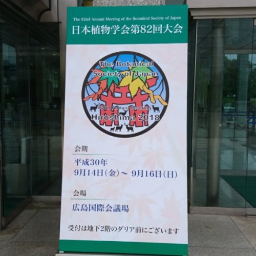 日本植物学会第82回大会で発表しました。