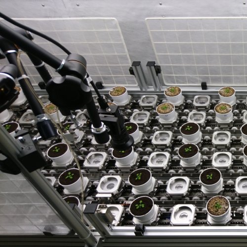 理研CSRSセミナーで発表しました。