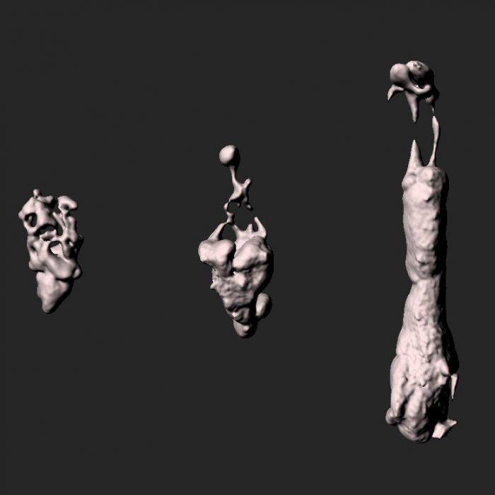 名古屋大学らとの共同研究が論文として掲載されました。