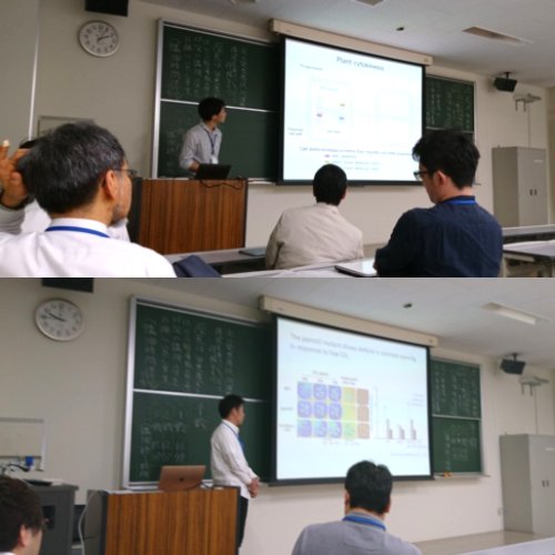 第68回九州沖縄植物学会で発表しました。