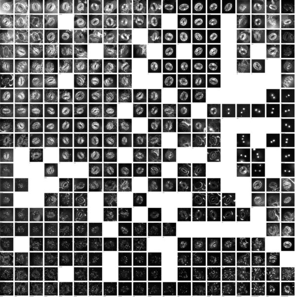 和文総説集が発刊されました。