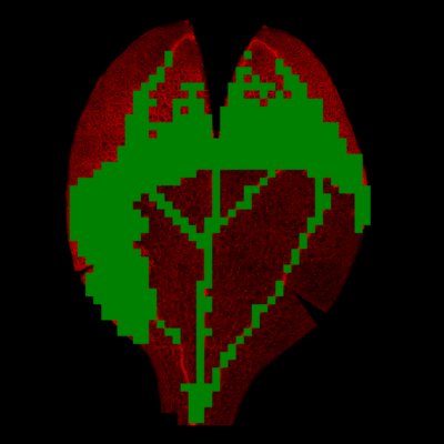 東京大学らとの共同研究が論文として掲載されました。