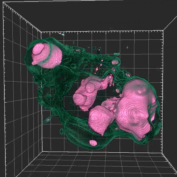 IROAST内での共同研究が論文として掲載されました。