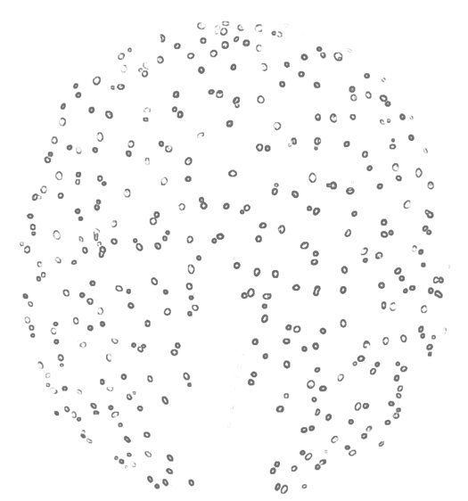 東京大学らとの共同研究が論文として掲載されました。