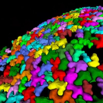 新学術領域研究「植物構造オプト」第３回班会議で発表しました。