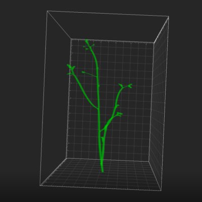 日本植物学会第84回大会で発表しました。
