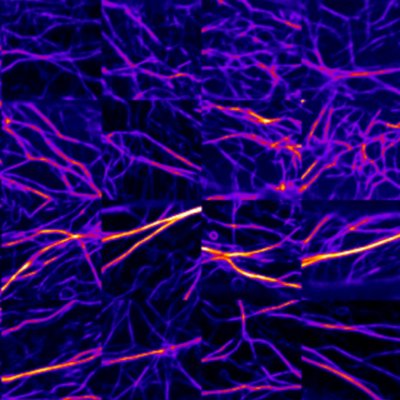 IROAST Research Unit Progress Report Seminarで発表しました。