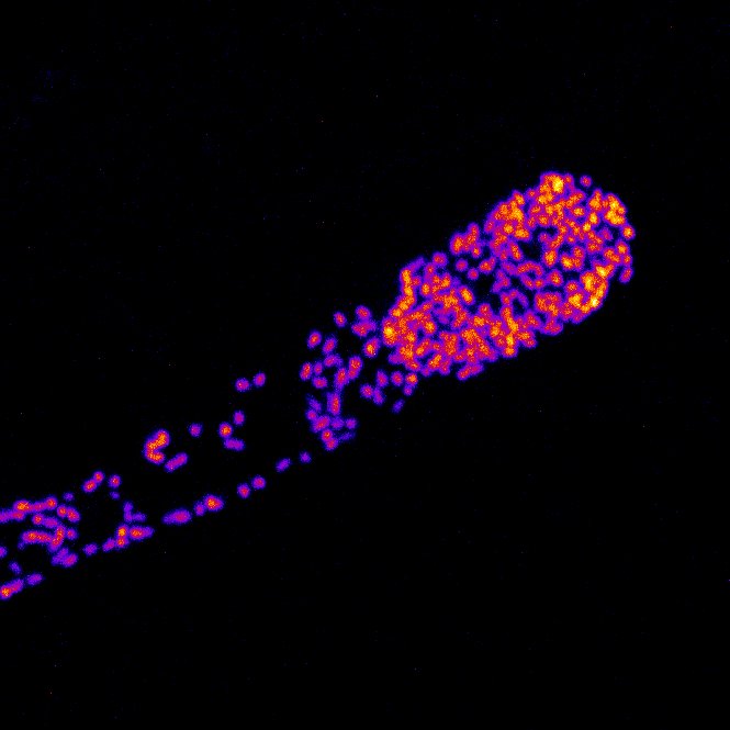名古屋大学らとの共同研究が論文として掲載されました。