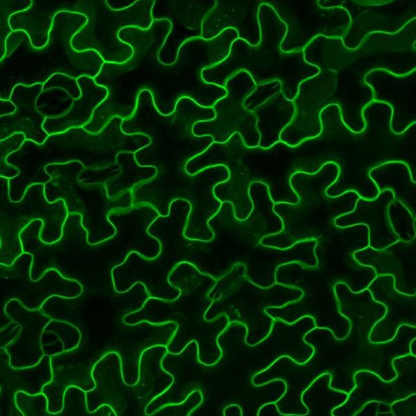 東京理科大学にて講義セミナーを行いました。