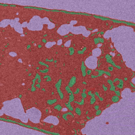 和文総説論文が掲載されました。