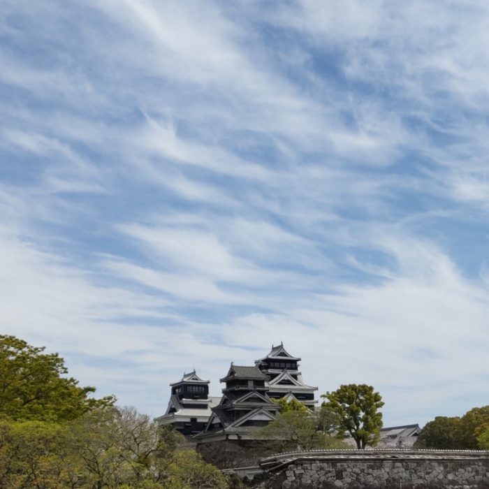 理学科２年生１名（JRF, Junior Research Fellow）が配属されました。