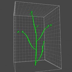 IROASTサロンで発表しました。