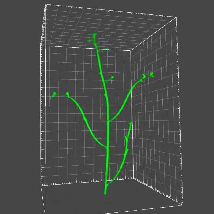 琉球大学らとの共同研究が論文として掲載されました。
