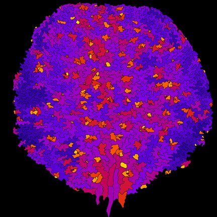 国際植物細胞壁生物学会議（PCWB2021）で発表しました。