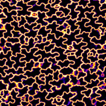 2021年度日本建築学会大会で発表しました。