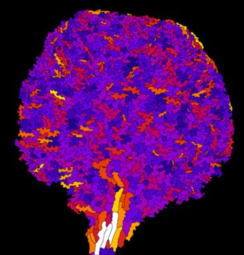 九州大学らとの共同研究が論文として掲載されました。