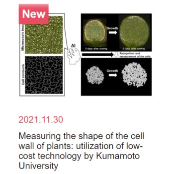Science Japanにて研究成果を紹介して頂きました。