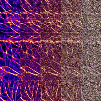 IROASTセミナーで発表しました。