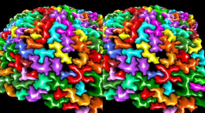 Leica Science Labにて当研究室の研究が紹介されました。