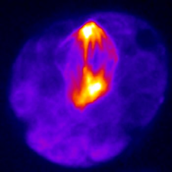 神戸大学らとの共同研究が論文として掲載されました。