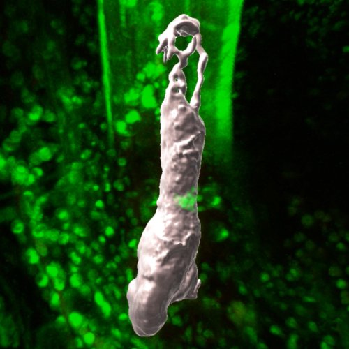 生命科学４プラットフォームキックオフシンポジウムにて発表しました。