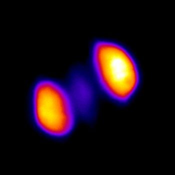 東京大学らとの共同研究が論文として掲載されました。