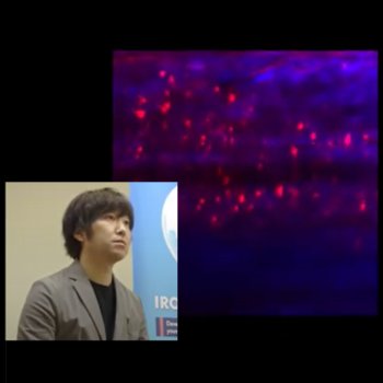 本学IRCMSらとの共同研究が論文として掲載されました。