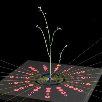 2022年度日本建築学会大会で発表しました。