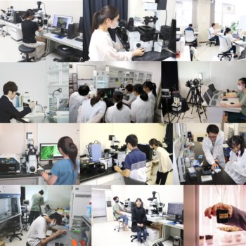 当研究室では博士研究員を募集しています。