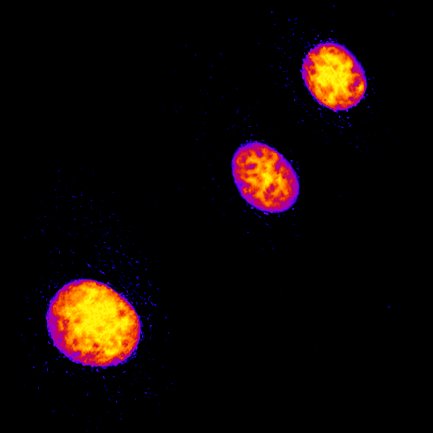 本学産業ナノマテリアル研究所との共同研究が論文として掲載されました。
