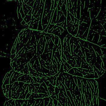 京都府立大学との共同研究が論文として掲載されました。