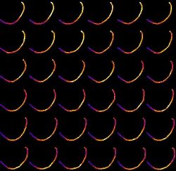 基礎生物学研究所らとの共同研究が論文として掲載されました。