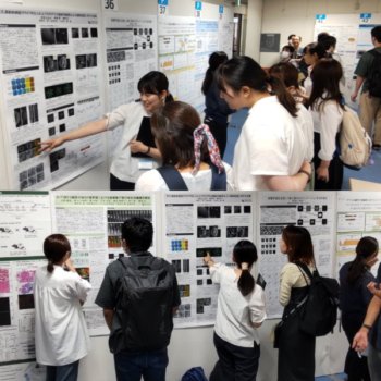 日本遺伝学会第95回大会で発表しました。