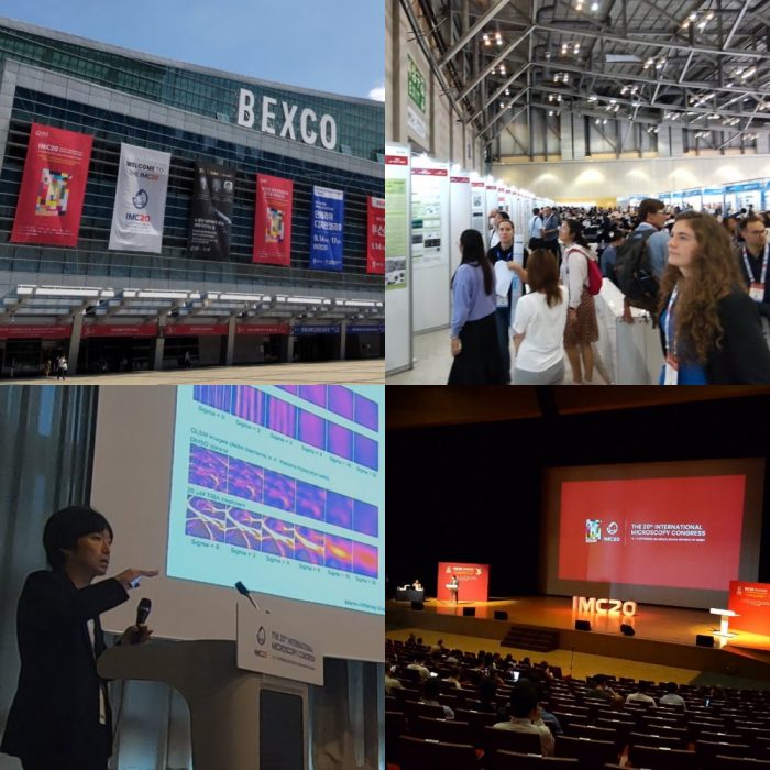 国際顕微鏡学会議 (IMC20)で発表しました。