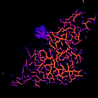 ミシガン大学との共同研究が論文として掲載されました。