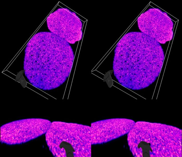 九州大学らとの共同研究が論文として掲載されました。