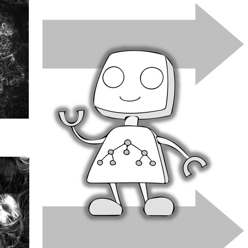 和文総説論文が掲載されました。