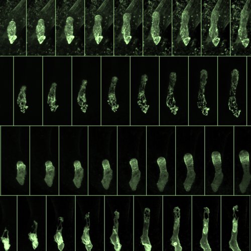 東北大学との共同研究が論文として掲載されました。