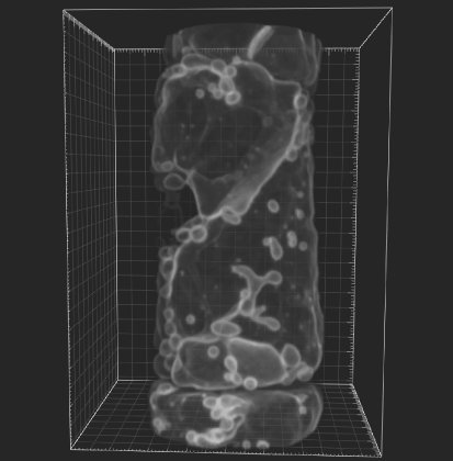 本学薬学部らとの共同研究が論文として掲載されました。