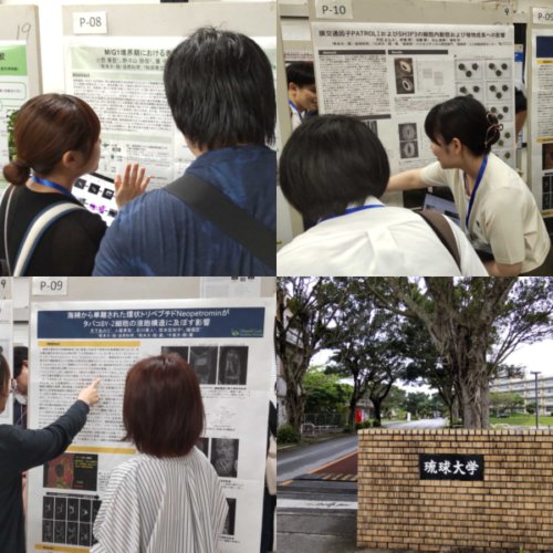 第73回九州沖縄植物学会で発表しました。