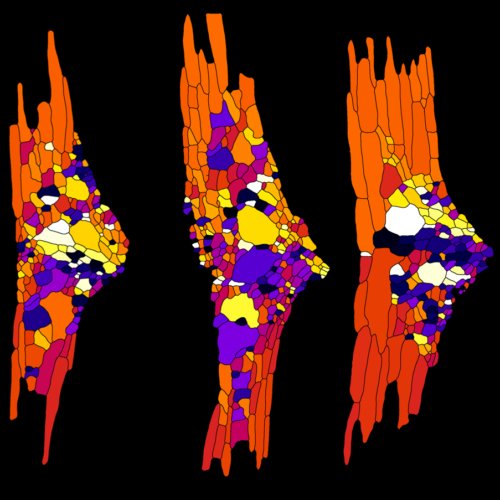 筑波大学らとの共同研究が論文として掲載されました。