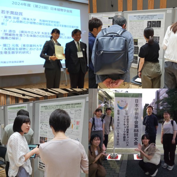 日本植物学会第88回大会で発表しました。