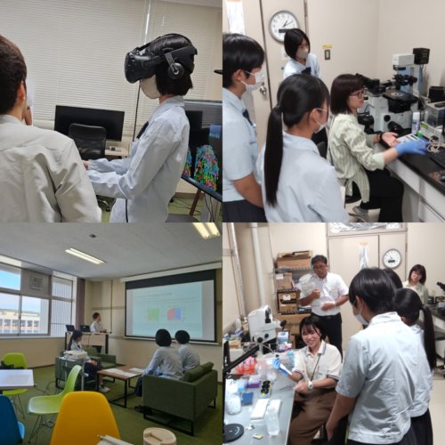 ワクワク研究室訪問を実施しました。