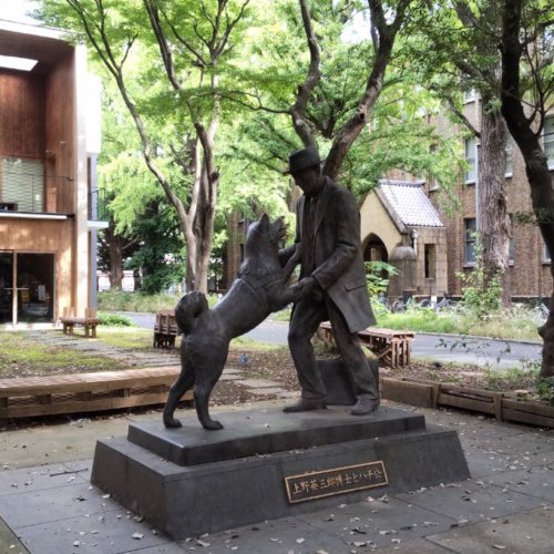 東京大学にて講義セミナーを行いました。