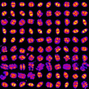 カリフォルニア大学との共同研究が論文として掲載されました。