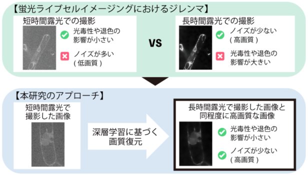 山口大学らとの共同研究が論文として掲載されました。